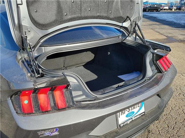 new 2025 Ford Mustang car, priced at $47,565