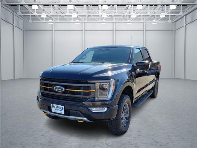 used 2023 Ford F-150 car, priced at $55,000