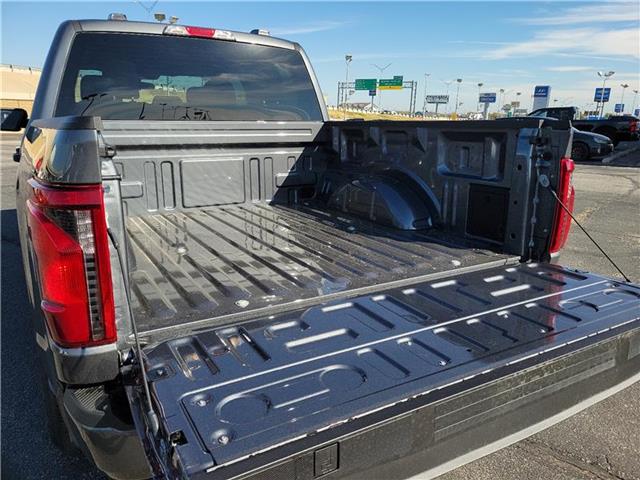 new 2024 Ford F-150 car, priced at $53,100